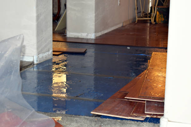 Professional Water Damage Restoration technician working in Williston, OH